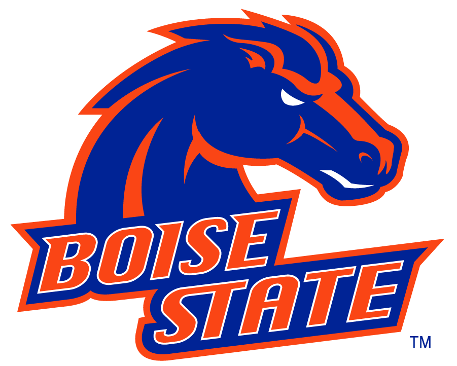 Boise State Broncos 2002-2012 Alternate Logo iron on transfers for T-shirts